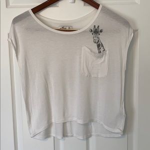 Hollister: Burnout Crop Tee Sz XS